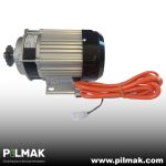 36V-48V-60V 1000W DC Motor